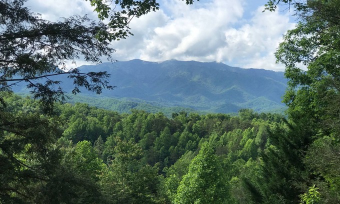 Black Bear Falls Cabin | Jaw Dropping View in Black Bear Falls