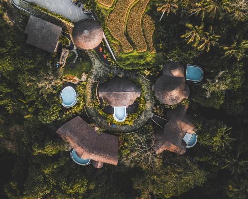 Kenderan Hotel | Jungleight Bali