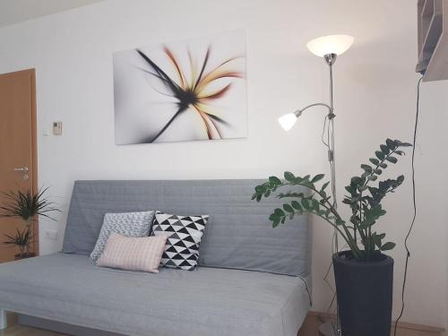 Pecs Apartment | Központhoz közeli - Cool Tettye Apartman