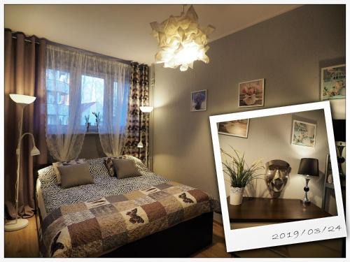 West Pomeranian Voivodeship Apartment | KGHN Apartments Tkacka 28