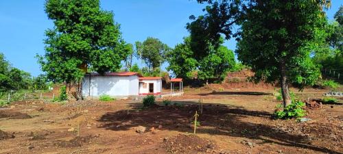 Murbad Other | Kittu's Farm