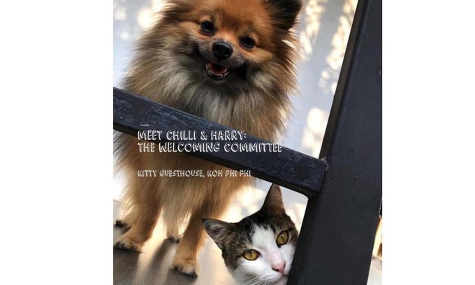 Ko Phi Phi Hotel | Kitty Guesthouse