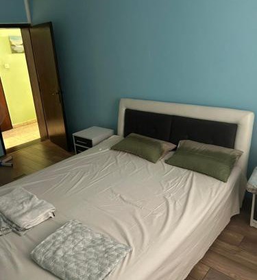 Veternik Apartment | Kuća za EXIT 2024