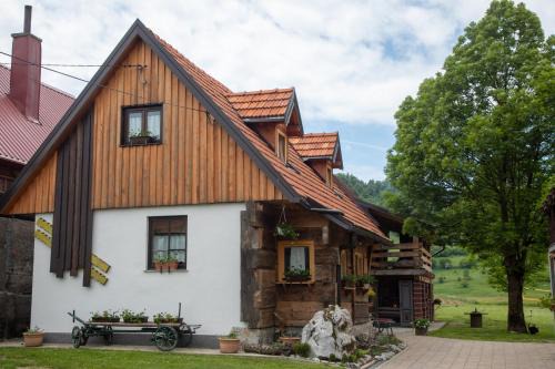 Mrkopalj Ski Chalet | Kuća za odmor Mećava