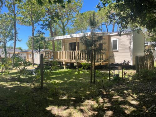 Piriac-sur-Mer Other | L'écureuil