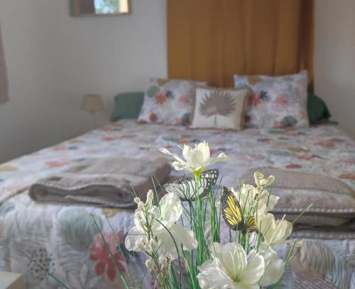 Sainte-Cecile Bed & Breakfast | L'Ambréenne