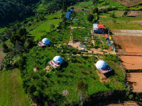 Kodaikanal Other | L.T NATURE GLAMPS