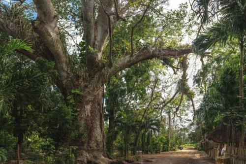 Solferino Apartment | La casa del pescador
