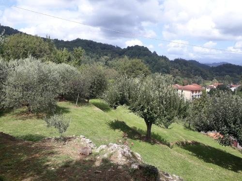 Ricco del Golfo di Spezia House | La casetta di Bianca