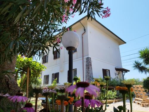 Orbetello Bed & Breakfast | La Domus di Cosa