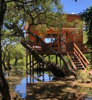 Partido de Tigre House | La Tiny