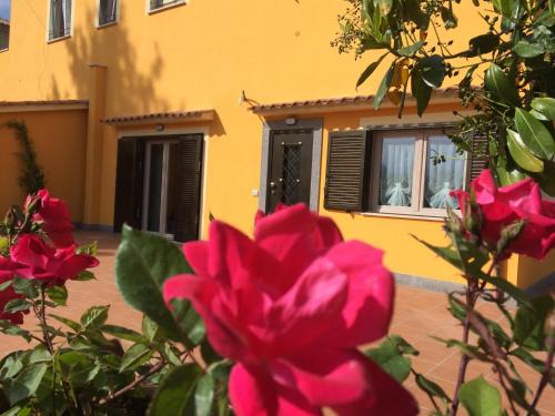 Castel Gandolfo Apartment | La Villetta Apartments
