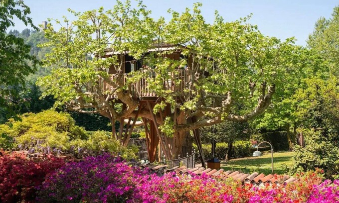 Como Cabin | Lake Como Dream Treehouse