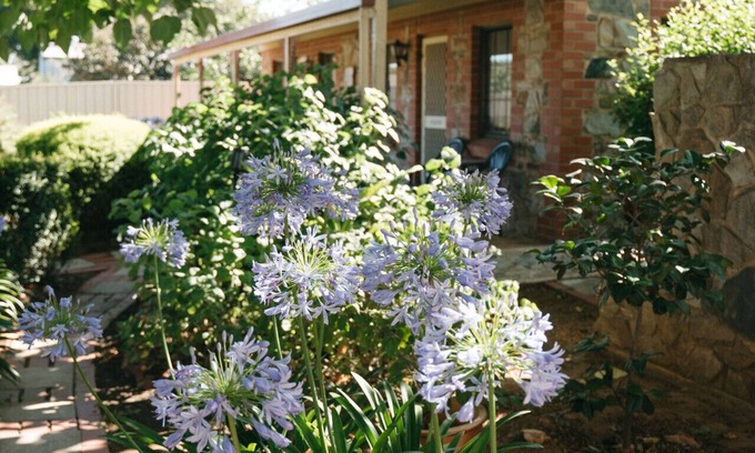 Tanunda Apartment | Langmeil Cottages - Wattle