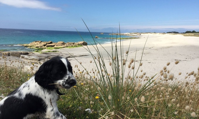 Plobannalec-Lesconil House | Large house by the water in Lesconil