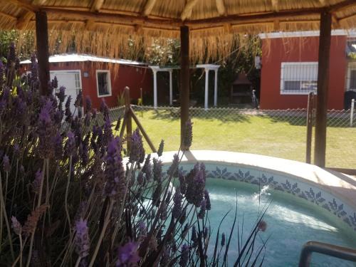Chascomus Apartment | las moraditas