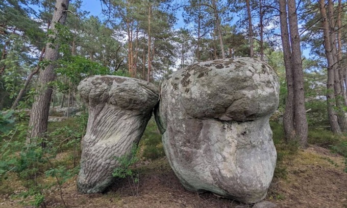 La Chapelle la Reine House | Latelier Avec Jardin, Piscine, Jacuzzi !