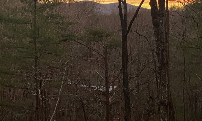 Blue Ridge Cabin | " Lazy Bears Cabin" Located in Cherry LognHighly Rated 9.8 overall by Guest