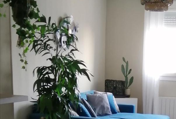 Quend-Plage-les-Pins Apartment | Le Cocon des Dunes