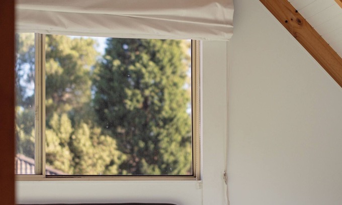 Bellerive Cottage | Lemon Tree | Walk to the beach! | Pet Friendly | Free Parking | Eco Friendly
