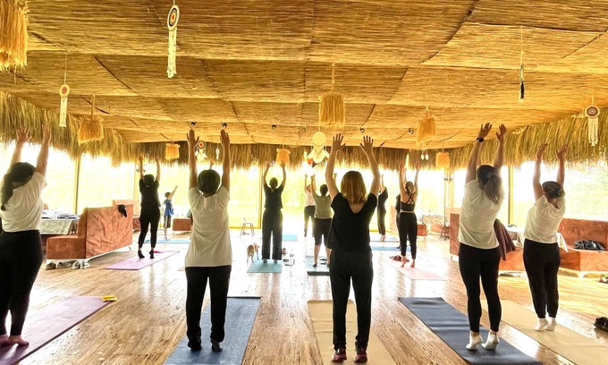 Mengen Ski Chalet | Lepista Garden