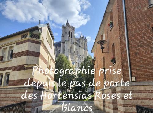 Saint-Leu Apartment | Les Hortensias Blancs Studio