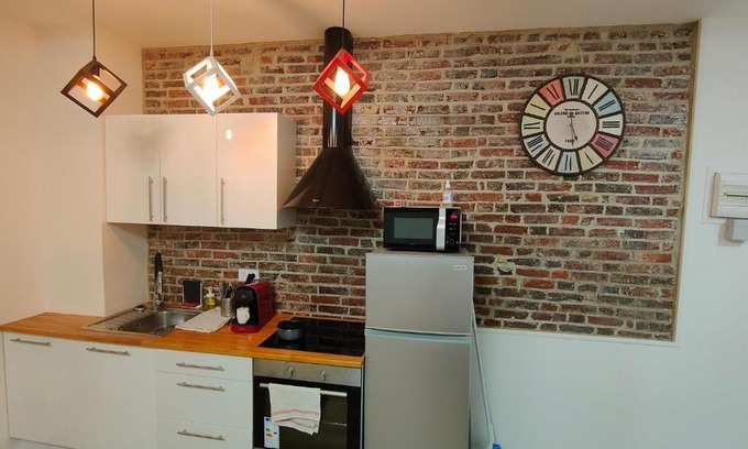 Provins Apartment | Les Lofts De Provins: Apt 5