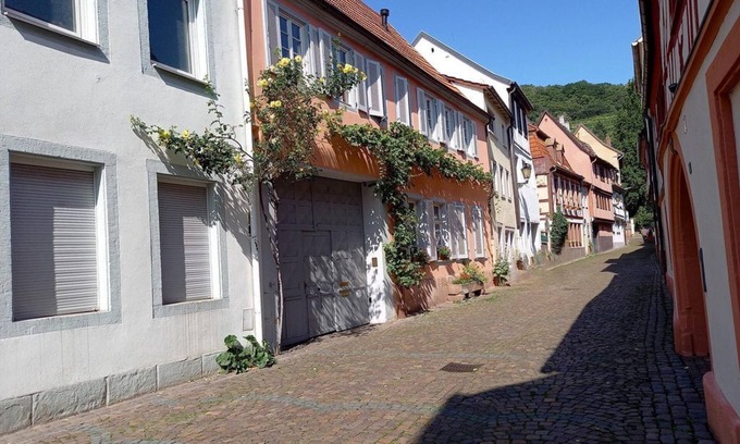 Neustadt an der Weinstrasse Apartment | Liebs'scher Hof - apartment, shower, WC, 3 bedrooms