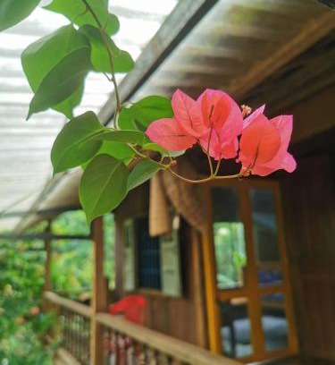 Dak Mil House | Lily's Stone Garden Farmstay