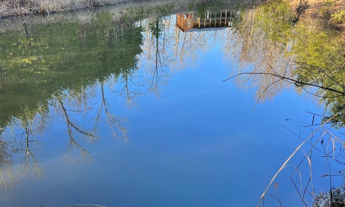 Frenchburg Cabin | Little Bear Cabin @ RRG-Dog Friendly-Hot Tub & Pond!