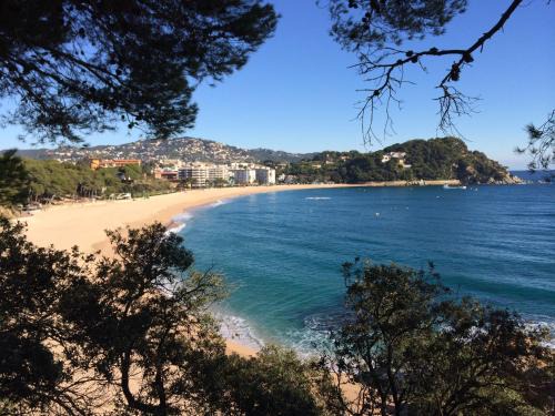 Lloret de Mar Apartment | Lloret Fenals Apartment Antilles