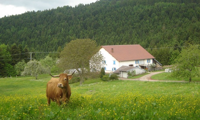 Girmont-Val-d'Ajol Cottage | Lodging in the heart of nature between forests and meadows