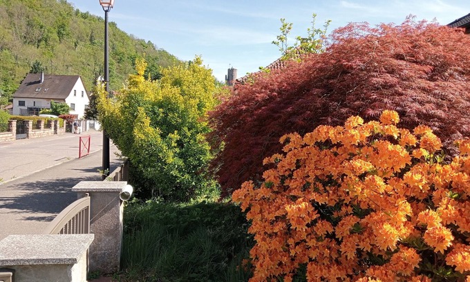 Kaysersberg-Vignoble Apartment | Lodging under the castle of Kaysersberg.10mn from the Christmas market Free parking