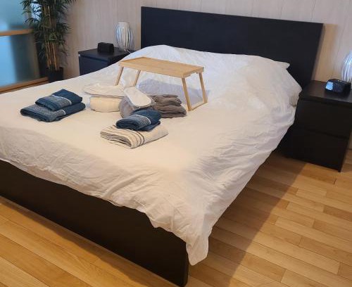 Saint-Marc Apartment | Loft de 130 m2 avec spa et billard au cœur de BREST