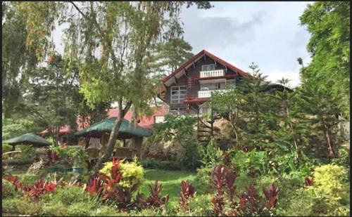 Baguio Hotel | Log Cabin Hotel - Baguio