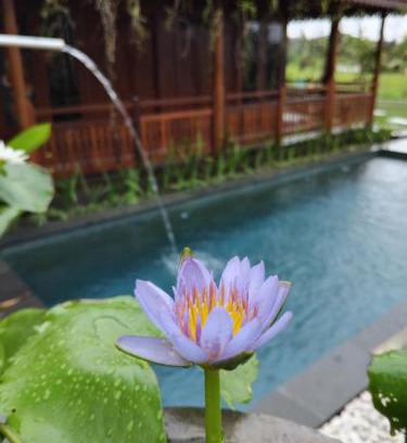Melayang Villa | Lotus cottage