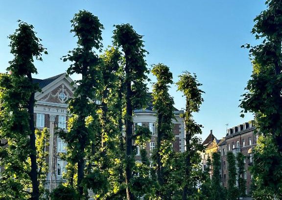 Frederiksberg C Apartment | Luxury apartment in the heart of Frederiksberg, Copenhagen