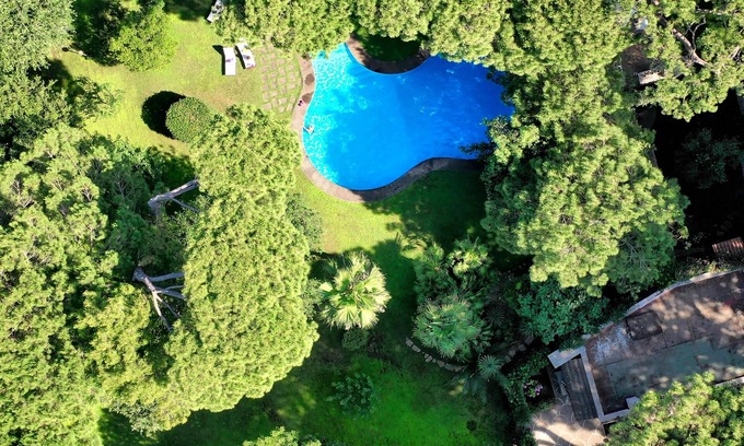 Fregenae Villa | Luxury Villa with Swimming Pool Surrounded by Fregene Ancient Pine Forest
