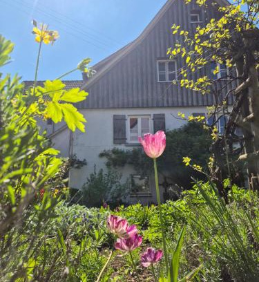 Genkingen House | Maison Fuchs - Fantastisches ehemaliges Bauernhaus mit Garten, WiFi und BBQ