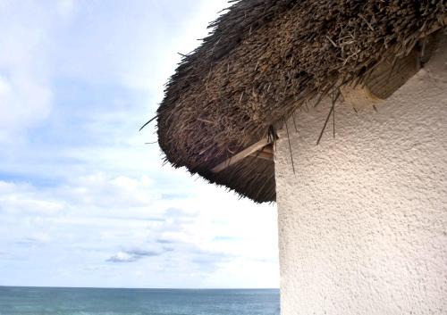 Los Canos de Meca Apartment | Mandala Bungalows - Adults Only