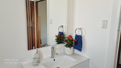 Motueka House | Middle of Everywhere