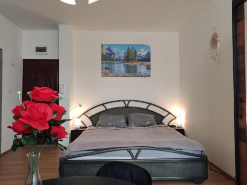 Głuchołazy Apartment | Mini Apartament Studio