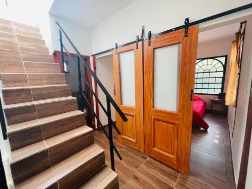 Floresta House | Mini house con sol y luz
