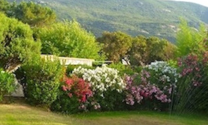 Calcatoggio House | MINI-VILLA for 2 to 4 people, CORSICA SOUTH, 100 m from the sea