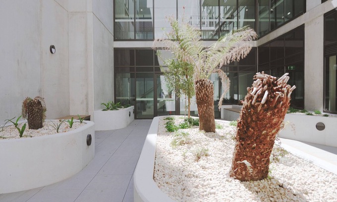 Braddon Apartment | Modern apt in heart of the city