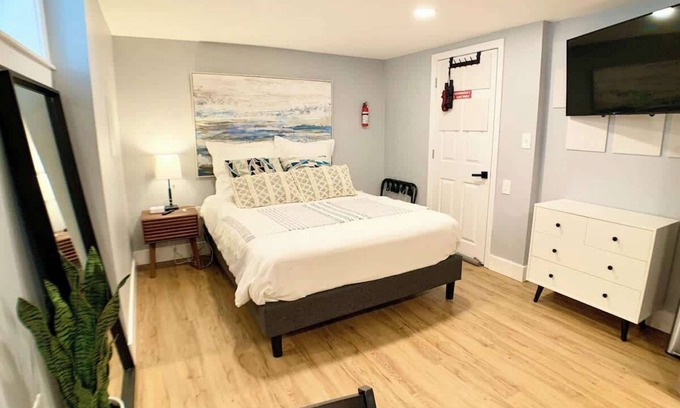 Arlington Apartment | Modern Studio-Private Entrance,Washer+Dryer