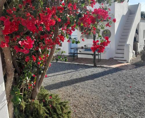Altura Resort | Monte da Lagoa
