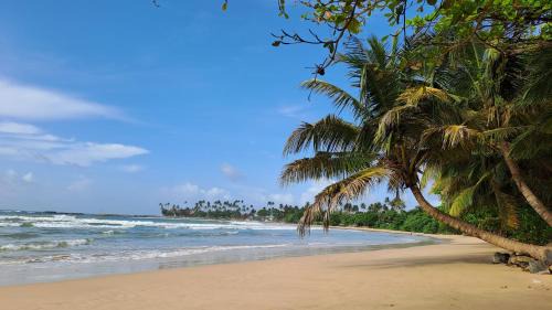 Dickwella Hotel | Moonlight beach