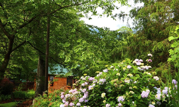 Candler Cabin | Mountain Getaway For Couples! 17 miles to Asheville, Pet Friendly, Hot Tub