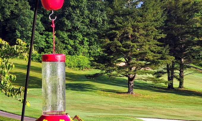 Burnsville House | Mountain View Townhouse Burnsville - Mount Mitchell, Hiking, Waterfalls